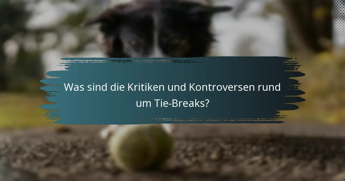 Was sind die Kritiken und Kontroversen rund um Tie-Breaks?