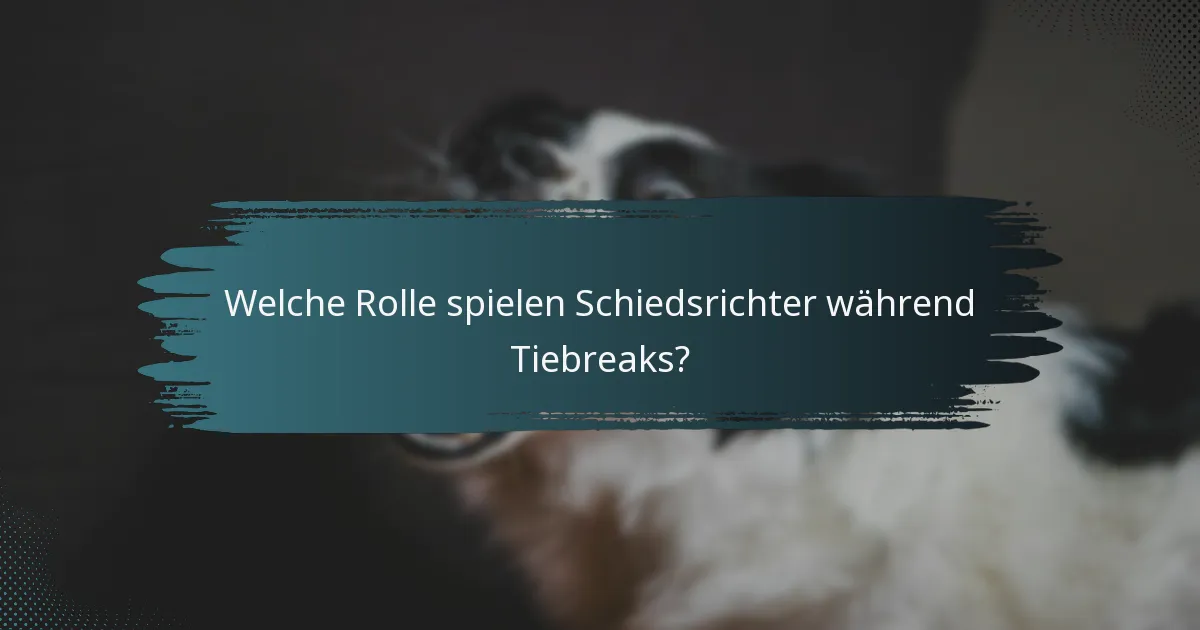 Welche Rolle spielen Schiedsrichter während Tiebreaks?