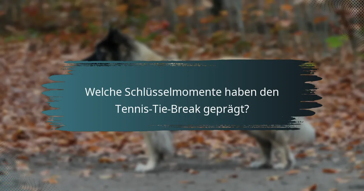 Welche Schlüsselmomente haben den Tennis-Tie-Break geprägt?