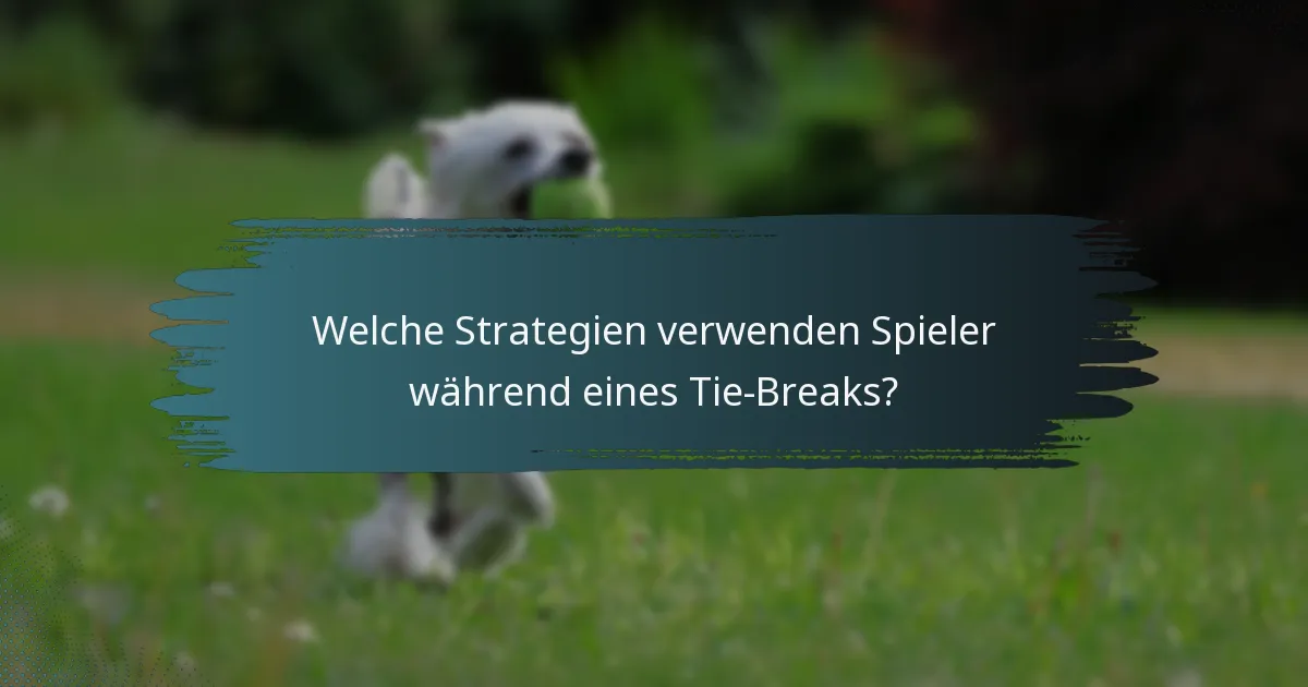 Welche Strategien verwenden Spieler während eines Tie-Breaks?