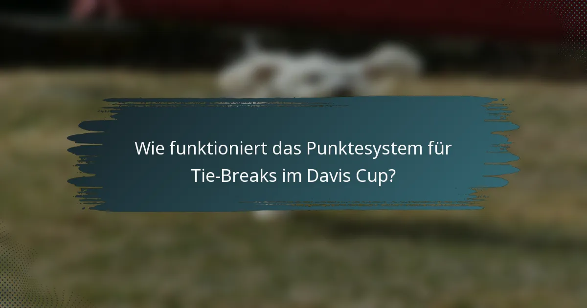 Wie funktioniert das Punktesystem für Tie-Breaks im Davis Cup?
