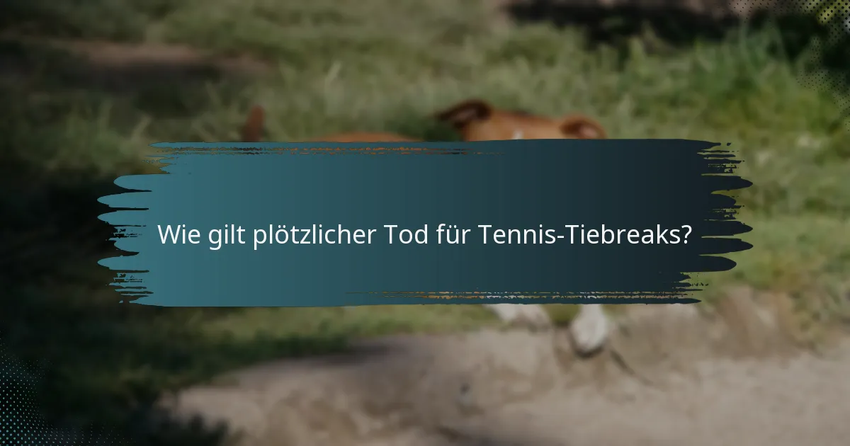 Wie gilt plötzlicher Tod für Tennis-Tiebreaks?