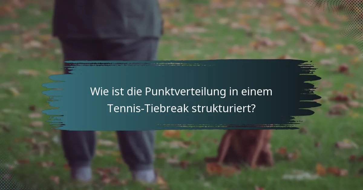 Wie ist die Punktverteilung in einem Tennis-Tiebreak strukturiert?