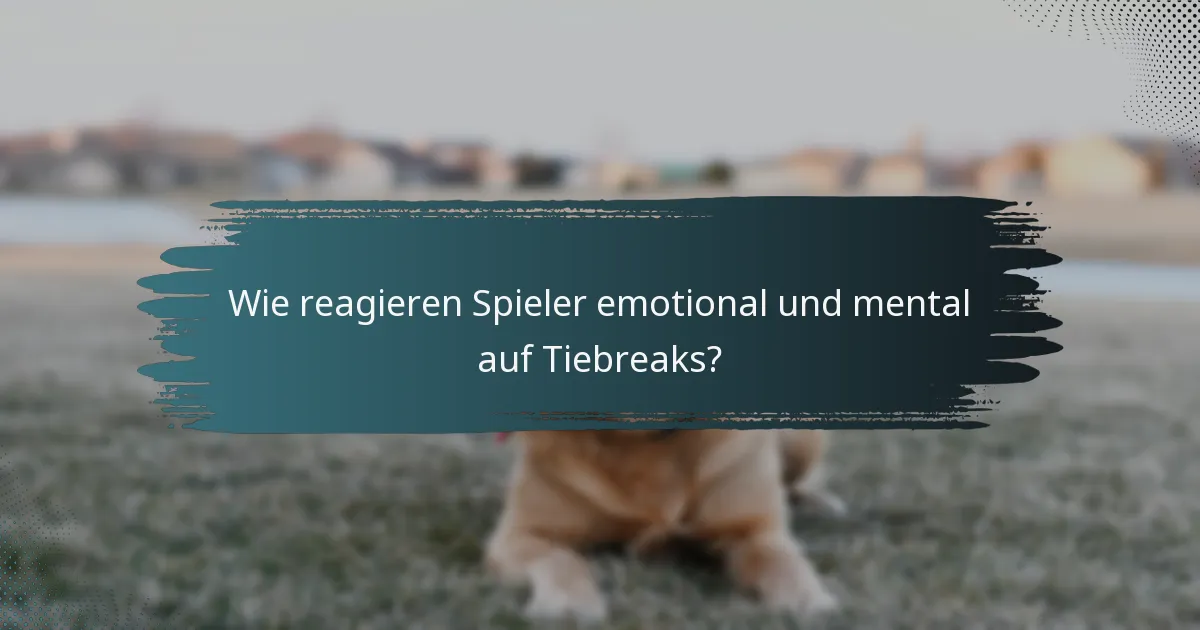 Wie reagieren Spieler emotional und mental auf Tiebreaks?